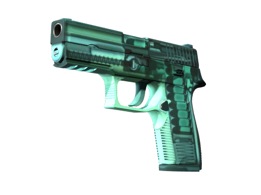 P250 X-Ray (Minimal Wear) .